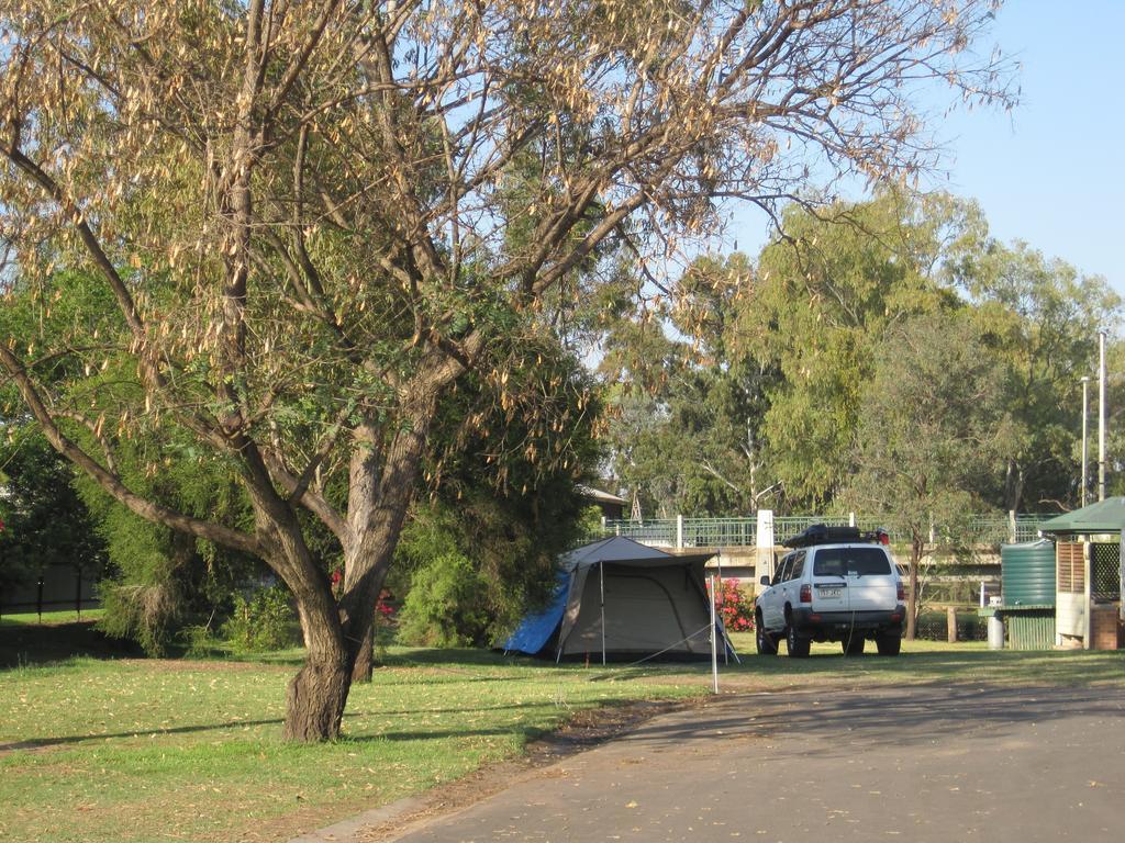 ホテル Dalby Tourist Park エクステリア 写真